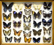 missiemuseum steyl 5-2022 3220